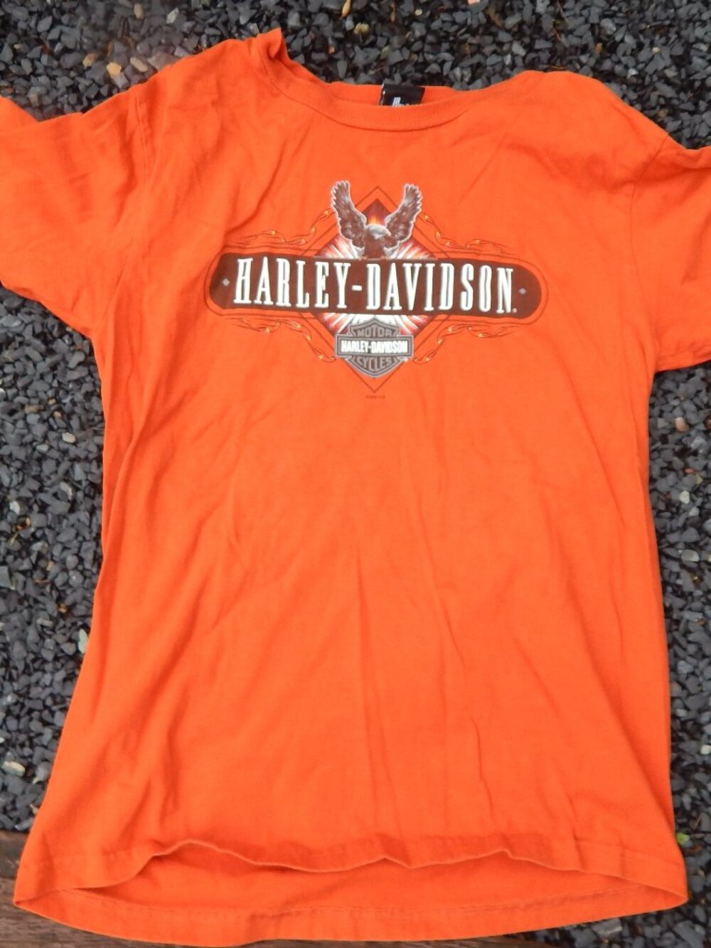Harley Davidson Mens Crystal River Florida T Shirt Size Large